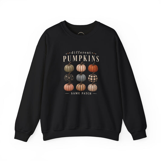 Crewneck Sweatshirt — 'Different Pumpkins, Same Patch' Fall Graphic Pullover