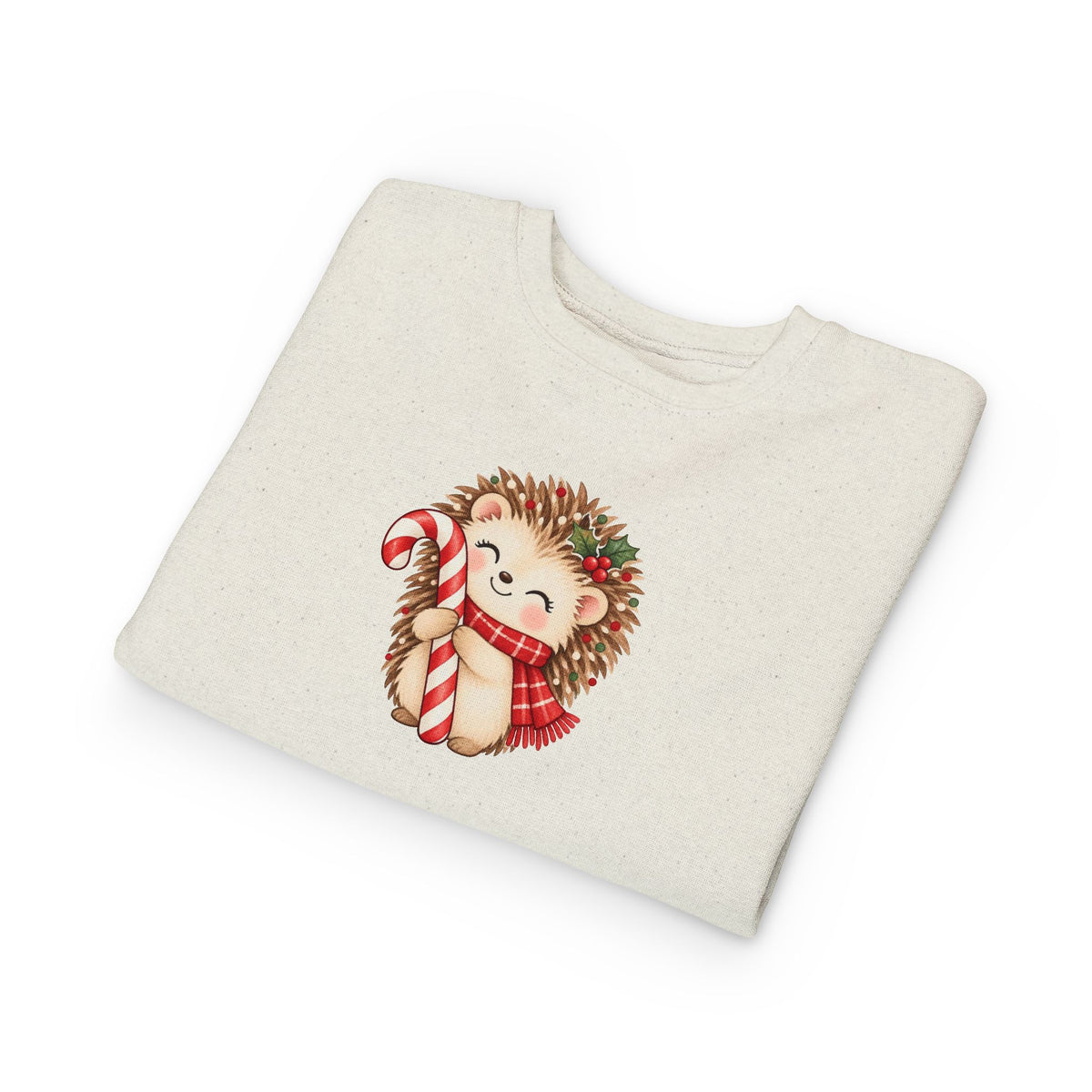 Toddler Sweatshirt - Cute Christmas Hedgehog with Candy Cane
