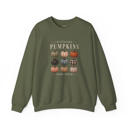 Crewneck Sweatshirt — 'Different Pumpkins, Same Patch' Fall Graphic Pullover