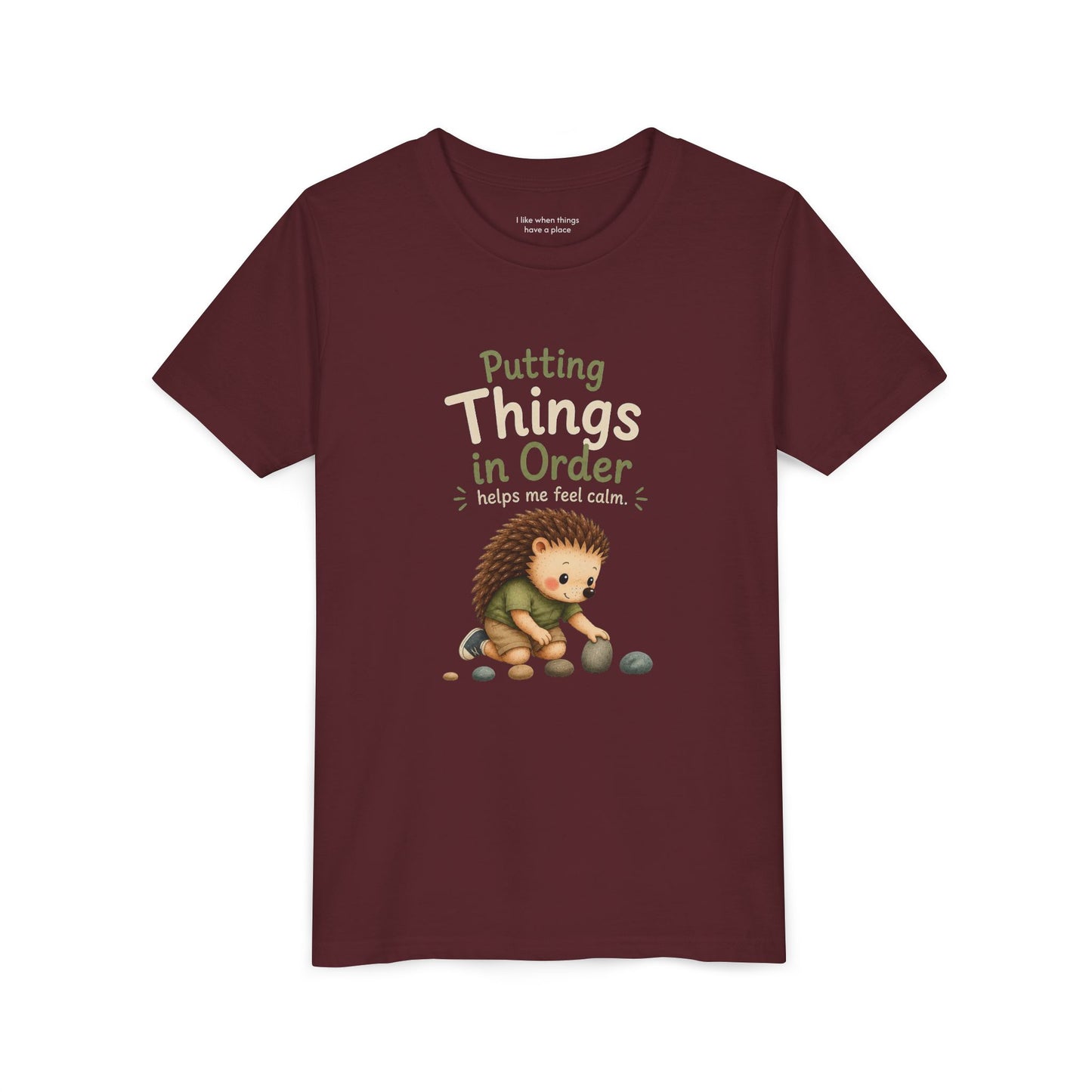Youth Tee — "Putting Things in Order Helps Me Feel Calm" Cute Hedgehog Kids Shirt