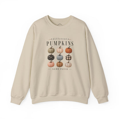 Crewneck Sweatshirt — 'Different Pumpkins, Same Patch' Fall Graphic Pullover