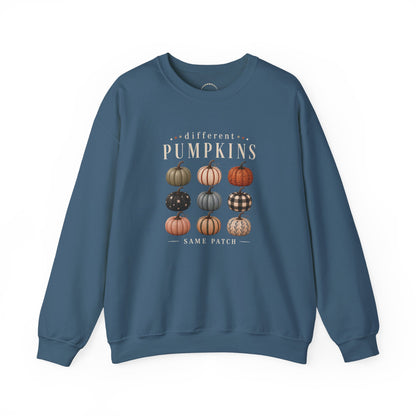 Crewneck Sweatshirt — 'Different Pumpkins, Same Patch' Fall Graphic Pullover